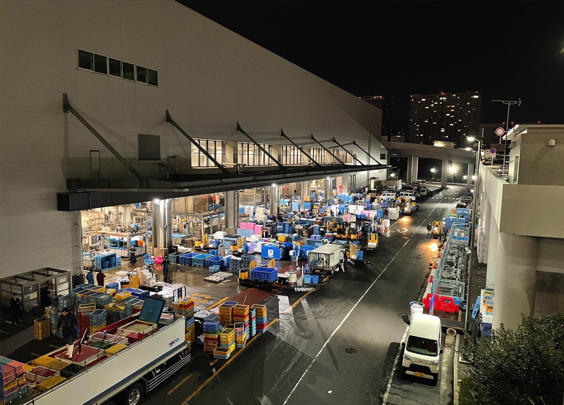 toyosu-fish-markets-japan